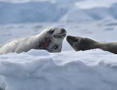 DSC_1112.JPG