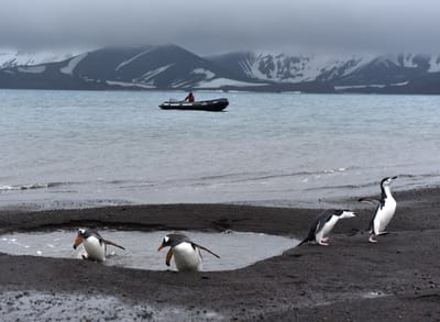 DSC_1321.JPG