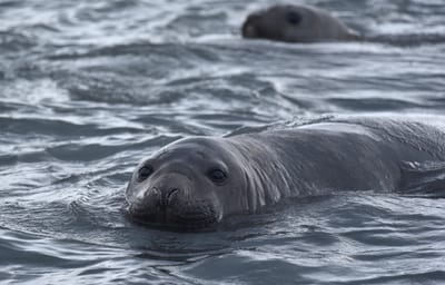 DSC_1461.jpg