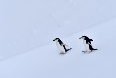 DSC_9555e.jpg