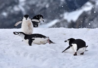 DSC_9649e.jpg