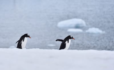 DSC_0068.jpg