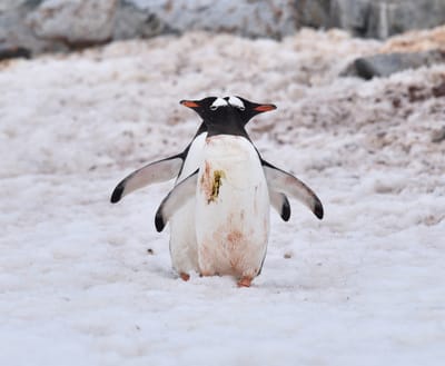 DSC_0071e.jpg