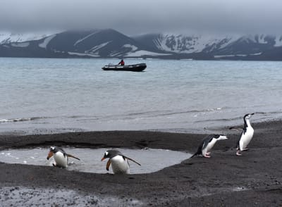DSC_1321.jpg