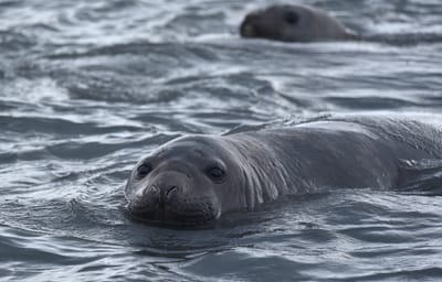 DSC_1461.jpg