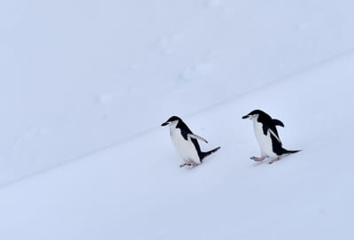 DSC_9555e.jpg