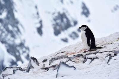 DSC_9616e.jpg