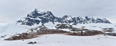 pano 3.1.1.jpg
