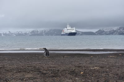 DSC_1318.JPG