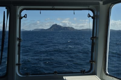 DSC_1555.JPG