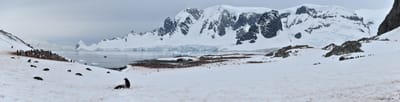 pano 1.3.1.jpg