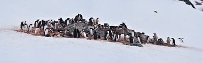 pano 1.3.3.jpg