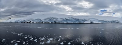 pano 2.2.3.jpg