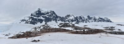 pano 3.1.2.jpg