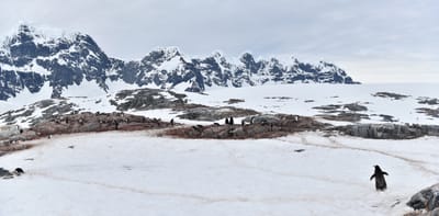 pano 3.1.3.jpg