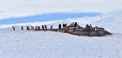 pano 3.2.3.jpg