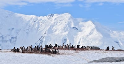 pano 3.2.5.jpg
