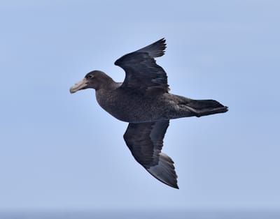 DSC_8994.JPG