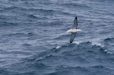 DSC_9167.JPG