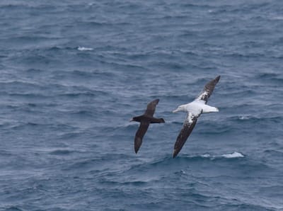 DSC_9169.JPG