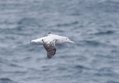 DSC_9214.JPG