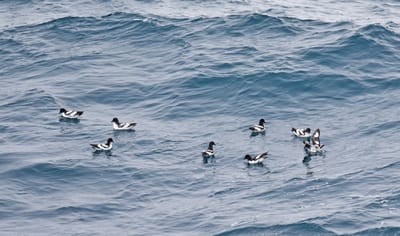 DSC_9232.JPG