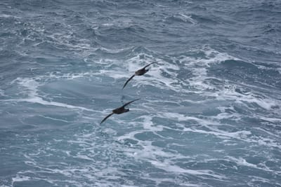 DSC_9032.JPG