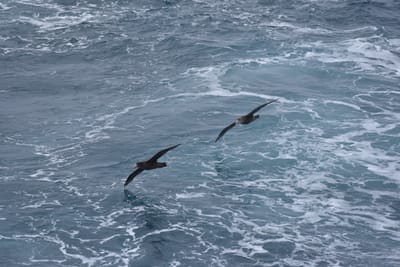 DSC_9033.JPG