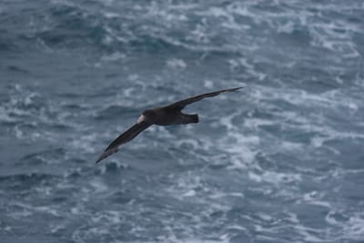 DSC_9121.JPG