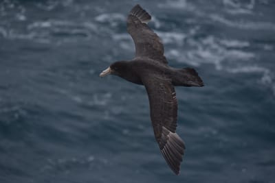 DSC_9128.JPG