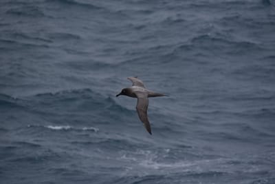 DSC_9155.JPG