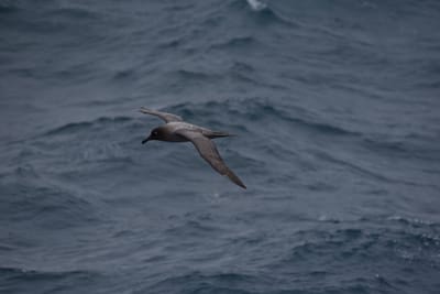 DSC_9157.JPG