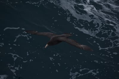 DSC_9179.JPG