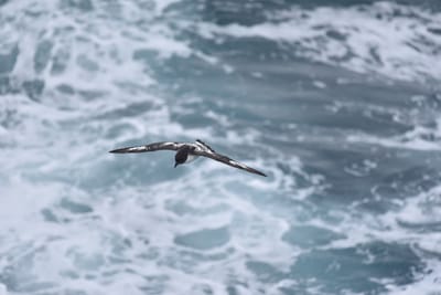 DSC_9184.JPG