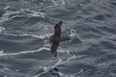 DSC_9209.JPG