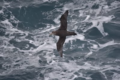 DSC_9210.JPG