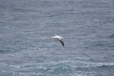 DSC_9219.JPG