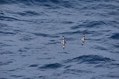 DSC_9252.JPG
