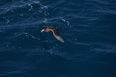 DSC_9265.JPG