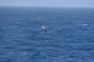 DSC_9292.JPG