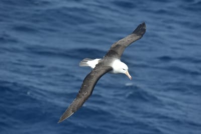 DSC_9302.JPG