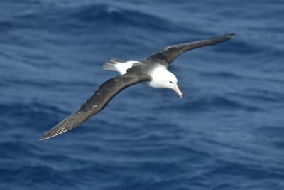 DSC_9303.JPG