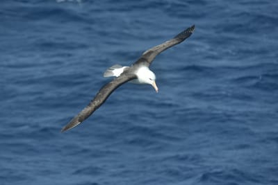 DSC_9306.JPG