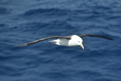 DSC_9308.JPG