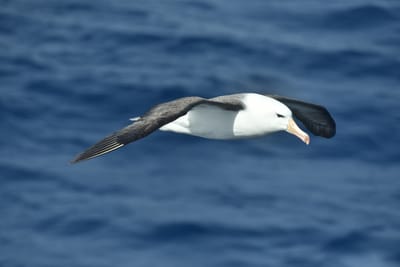 DSC_9309.JPG