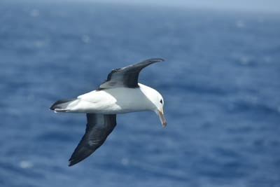 DSC_9312.JPG