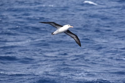 DSC_9319.JPG