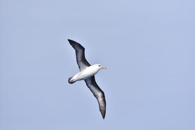DSC_9320.JPG