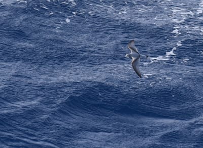 DSC_9326.JPG