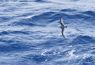 DSC_9327.JPG